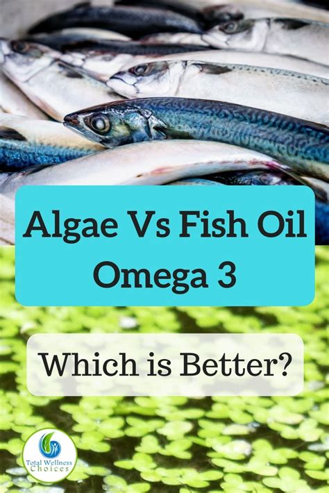 algae omega vs fish oil|algae vs fish oil review.